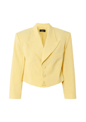 PASTEL YELLOW CROPPED BLAZER