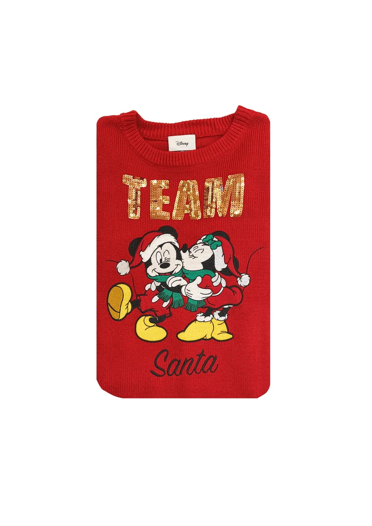 DISNEY TEAM SANTA JUMPER