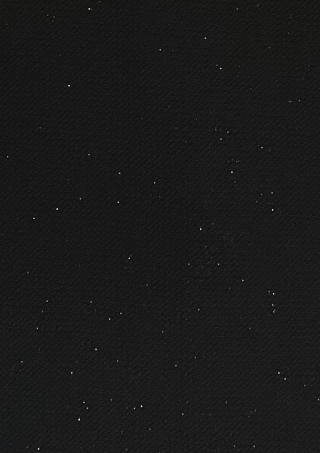 SCHWARZES GLITZER-MINIKLEID