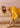 YELLOW CHARLIE MINI DRESS