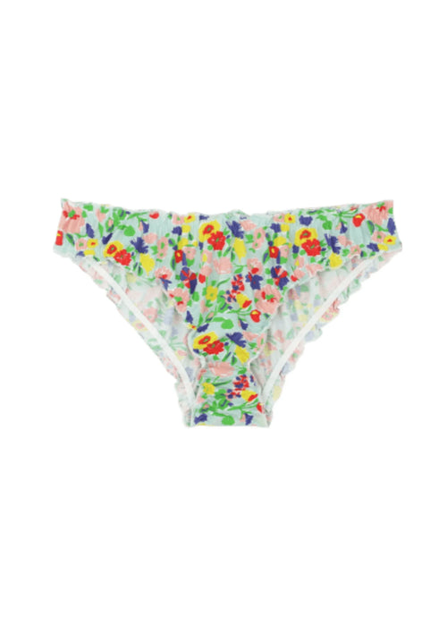 Fleurs arc-en-ciel à floraison