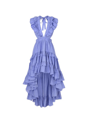 BLUE BOTANIC DRESS