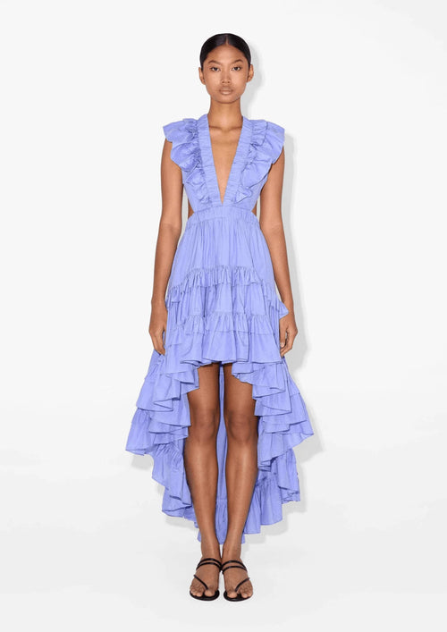 BLUE BOTANIC DRESS