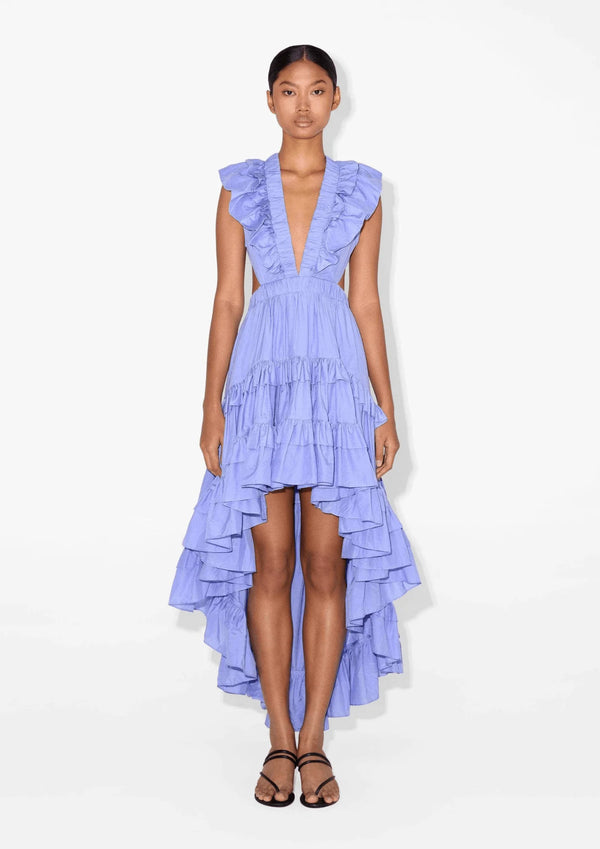 BLUE BOTANIC DRESS
