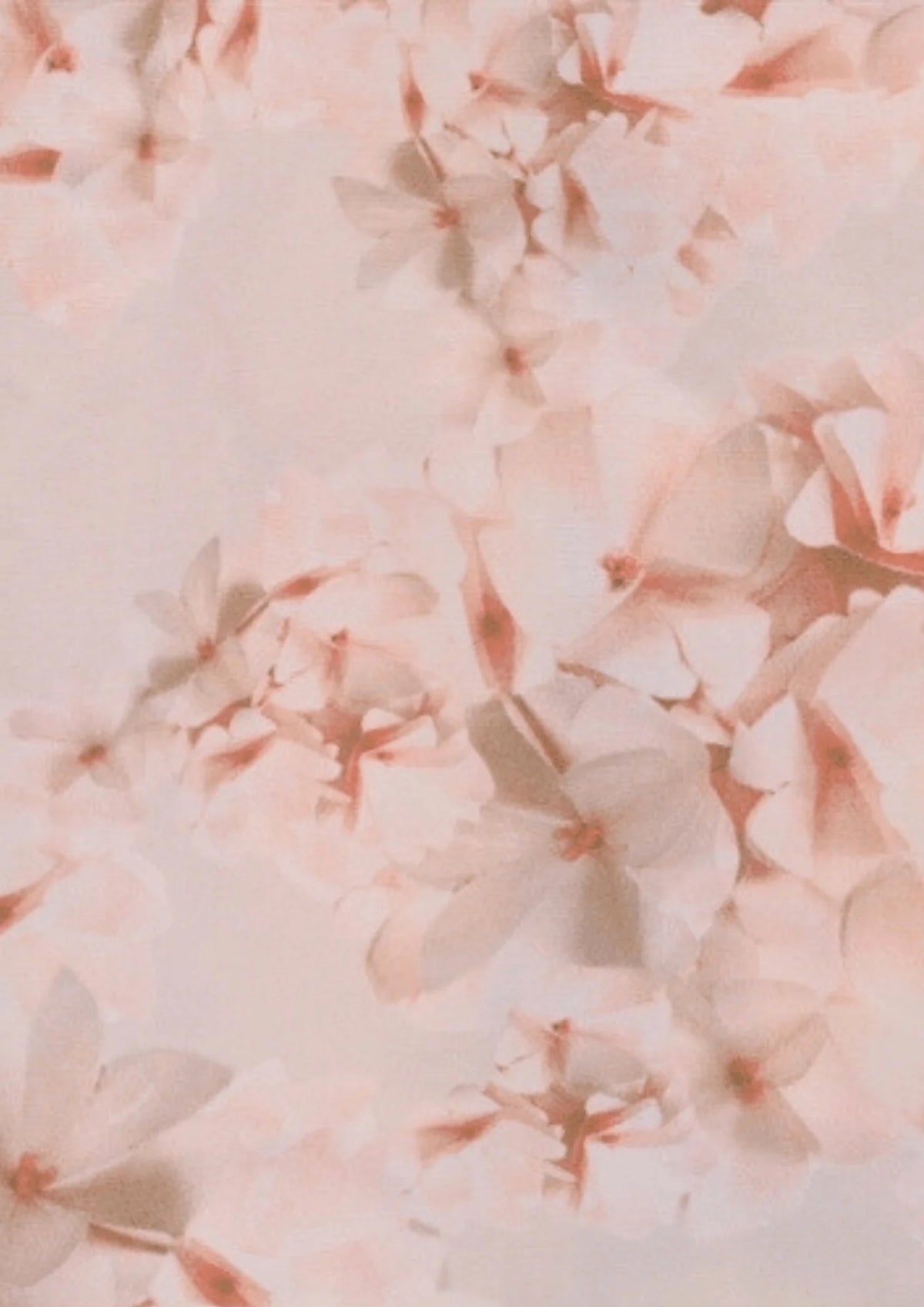 HELLROSA FARAONE BLUMENKLEID